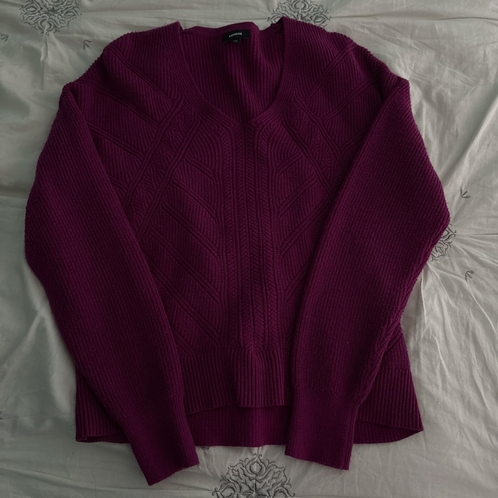 Express Plum V-Neck Sweater